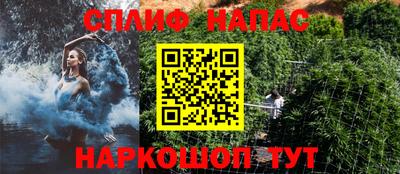 мяу мяу мука Будённовск