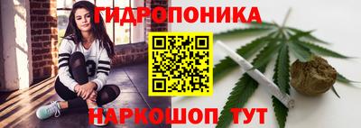 мяу мяу мука Будённовск