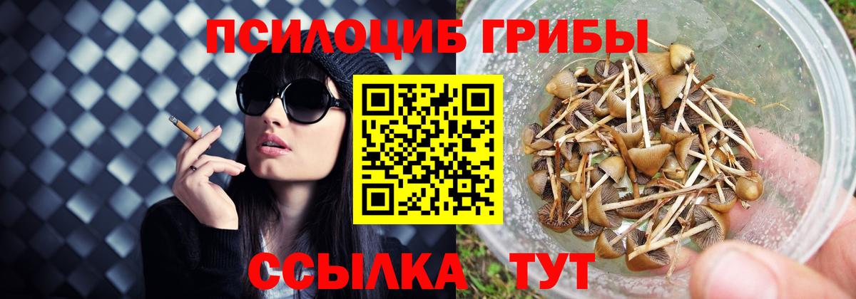 Галлюциногенные грибы GOLDEN TEACHER Похвистнево