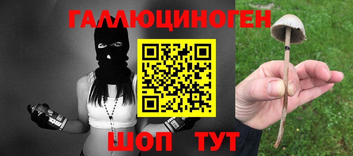 Псилоцибиновые грибы Magic Shrooms  Вход с VPN  Похвистнево  Галлюциногенные грибы мухоморы 